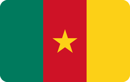drapeau-cameroun